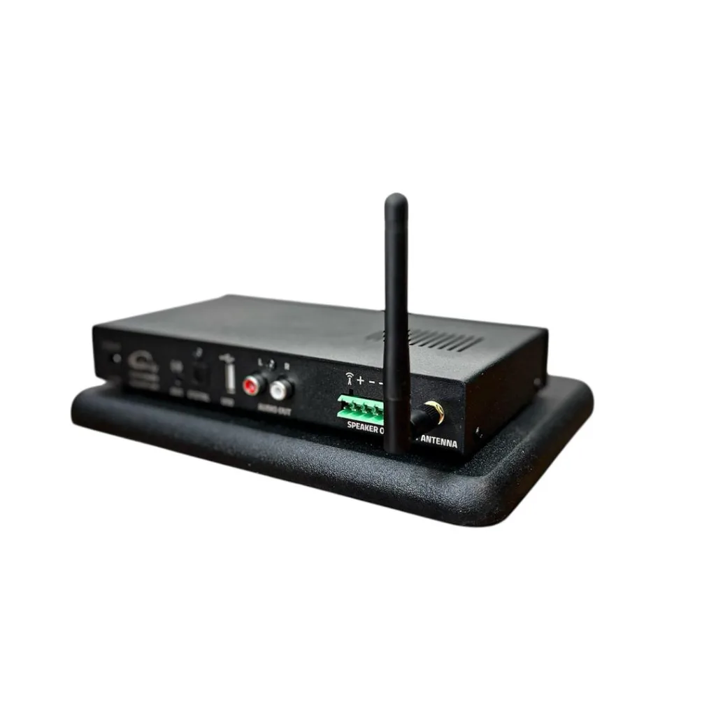 کلاریتی PR-A2160 - Image 6